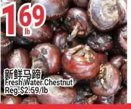 SunFood Supermarket Fresh Water Chestnut offer