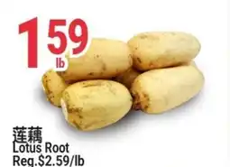 SunFood Supermarket Lotus Root offer