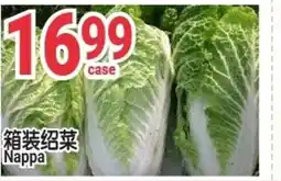 SunFood Supermarket Nappa offer