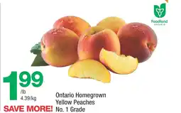 Highland Farms Ontario Homegrown Yellow Peaches offer