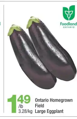 Highland Farms Ontario Homegrown Field Large Eggplant offer