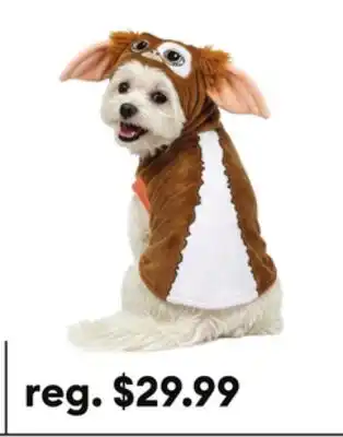 Petsmart Gremlins Costume offer