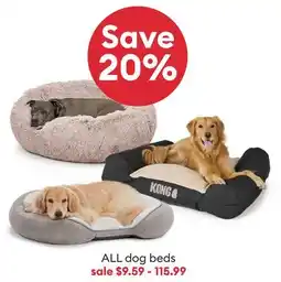 Petsmart ALL dog beds offer