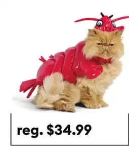 Petsmart Thrills & Chills Lobster Dog & Cat Costume offer