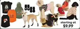 Petsmart BEWITCHING APPAREL offer