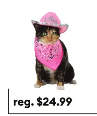 Petsmart Thrills & Chills Pink Cowboy Hat & Bandana Dog & Cat Set offer