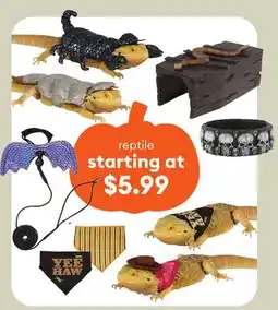 Petsmart reptile offer