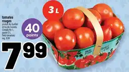 Metro Tomates rouges offer