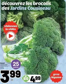 Metro Brocoli offer