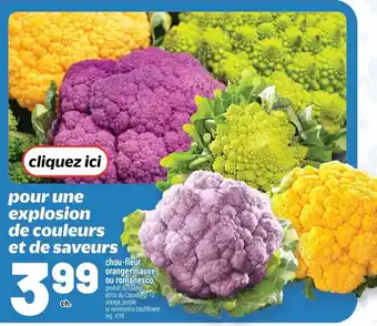 Metro Chou-fleur orange, mauve ou romanesco offer