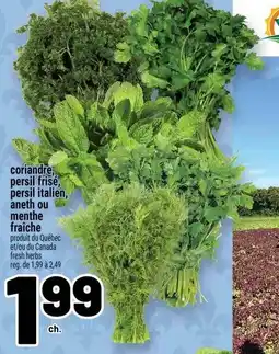 Metro Coriandre, persil frisé, persil italien, aneth ou menthe fraîche offer