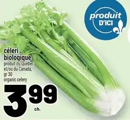 Metro Céleri biologique offer
