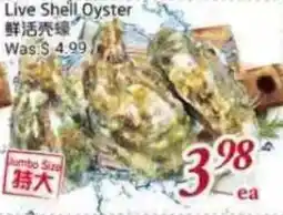 Tone Tai Supermarket Live Shell Oyster offer