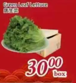 Tone Tai Supermarket Green Leaf Lettuce offer