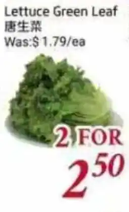 Tone Tai Supermarket Lettuce Green Leaf offer