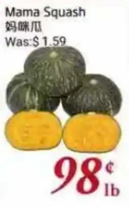 Tone Tai Supermarket Mama Squash offer