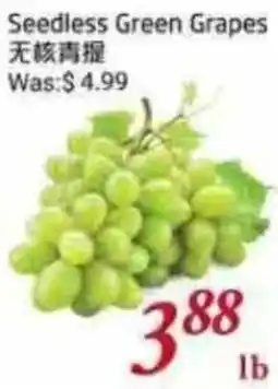 Tone Tai Supermarket Seedless Green Grapes offer