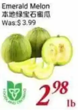 Tone Tai Supermarket Emerald Melon offer