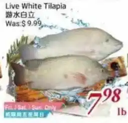 Tone Tai Supermarket Live White Tilapia offer