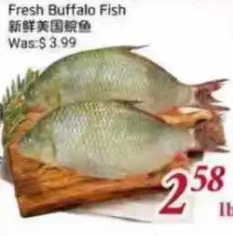 Tone Tai Supermarket Fresh Buffalo Fish offer