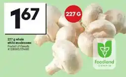 Giant Tiger Whole white mushrooms offer