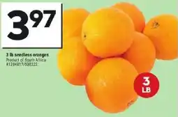 Giant Tiger Seedless oranges offer