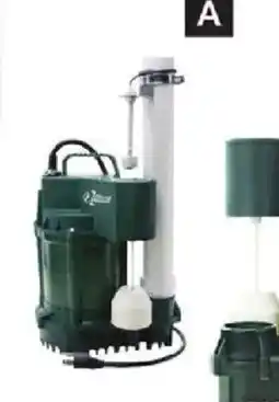 Princess Auto 3/4 HP Sump Pumps offer
