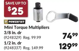 Princess Auto Mini Torque Multipliers offer
