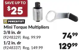 Princess Auto Mini Torque Multipliers offer