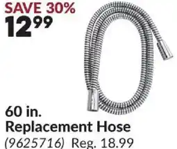 Princess Auto 60 in Replacement Hose offer
