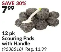 Princess Auto 12 pk Scouring Pads with Handle offer
