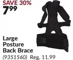 Princess Auto Large Posture Back Brace offer