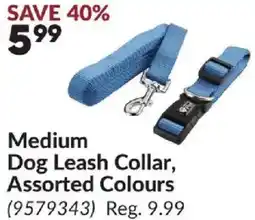 Princess Auto Medium Dog Leash Collar, Assorted Colours offer