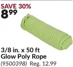 Princess Auto 3/8 in. x 50 ft Glow Poly Rope offer