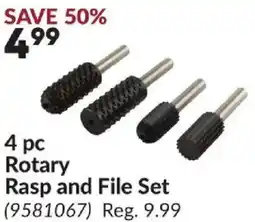 Princess Auto Rasp and File Set offer