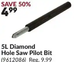 Princess Auto 5L Diamond Hole Saw Pilot Bit offer