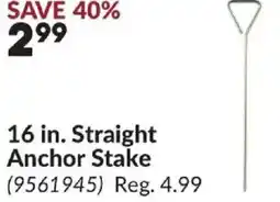 Princess Auto 16 in. Straight Anchor Stake offer