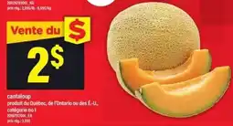 Maxi cantaloup offer