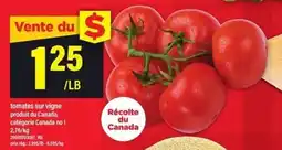 Maxi tomates sur vigne offer