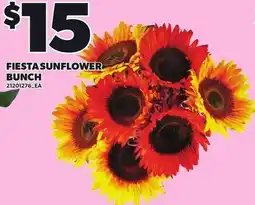 Loblaws Fiesta sunflower bunch offer