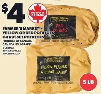 Farmer's market yellow or red potatoes or russet potatoes