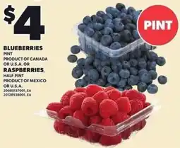 Loblaws Blueberries offer