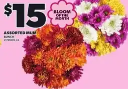 Loblaws Assorted mum offer