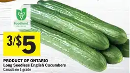 Foodland Product of ontario long seedless english cucumbers offer