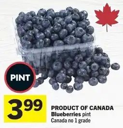 Foodland Blueberries pint offer