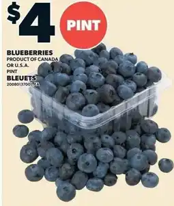 Loblaws Blueberries offer