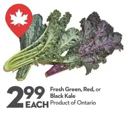 Longo's Fresh Green, Red, or Black Kale offer
