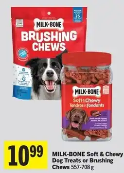 Foodland Milk-bone soft & chewy dog treats or brushing chews offer
