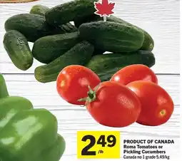 Foodland Roma tomatoes or pickling cucumbers offer