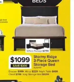 Leon's Stormy Ridge 3-Piece Queen Storage bed offer